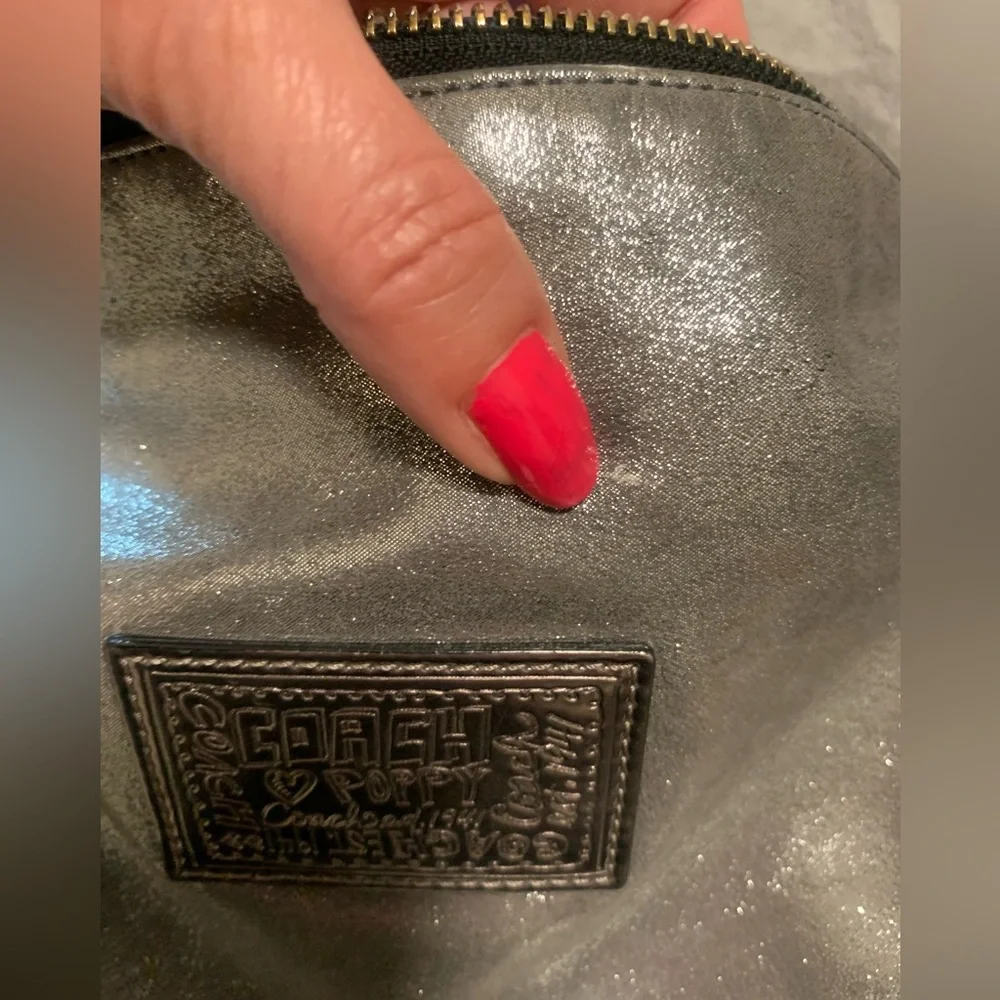 Coach Metallic Silver Poppy Hobo Bag